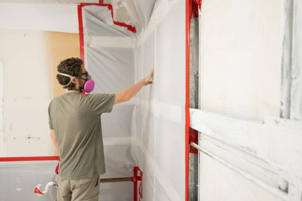 Best Mold Damage Restoration  in Larksville, PA