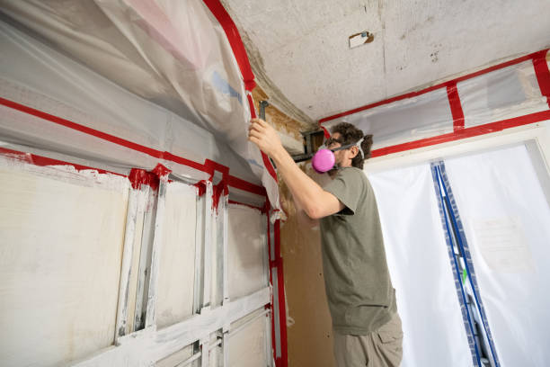 Reliable Larksville, PA Mold Inspection, Removal & Remediation Solutions