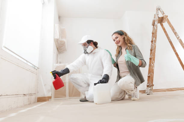 Best Mold Removal for HVAC Installations  in Larksville, PA